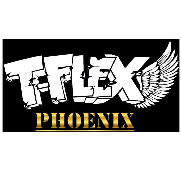 T-Flex Phoenix GmbH
