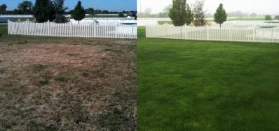 Lawn Doctor