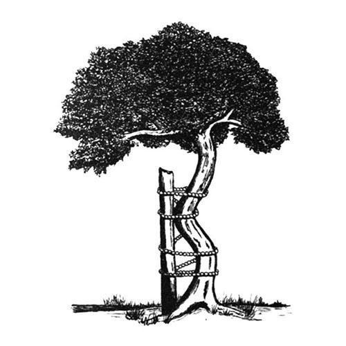 Dr. med. Valdis Gončars, traumatologa-ortopēda privātprakse