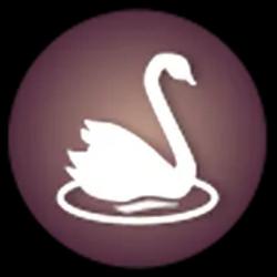 A Dental Care 24 Hrs