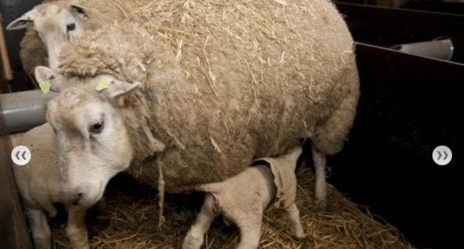 Hotel Restaurant Aduard