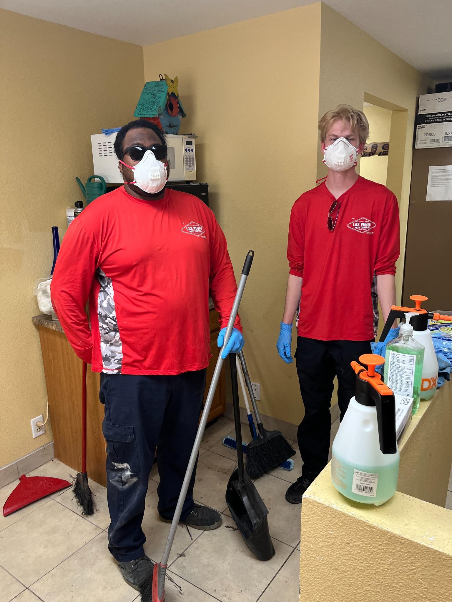 Las Vegas Pest Contol