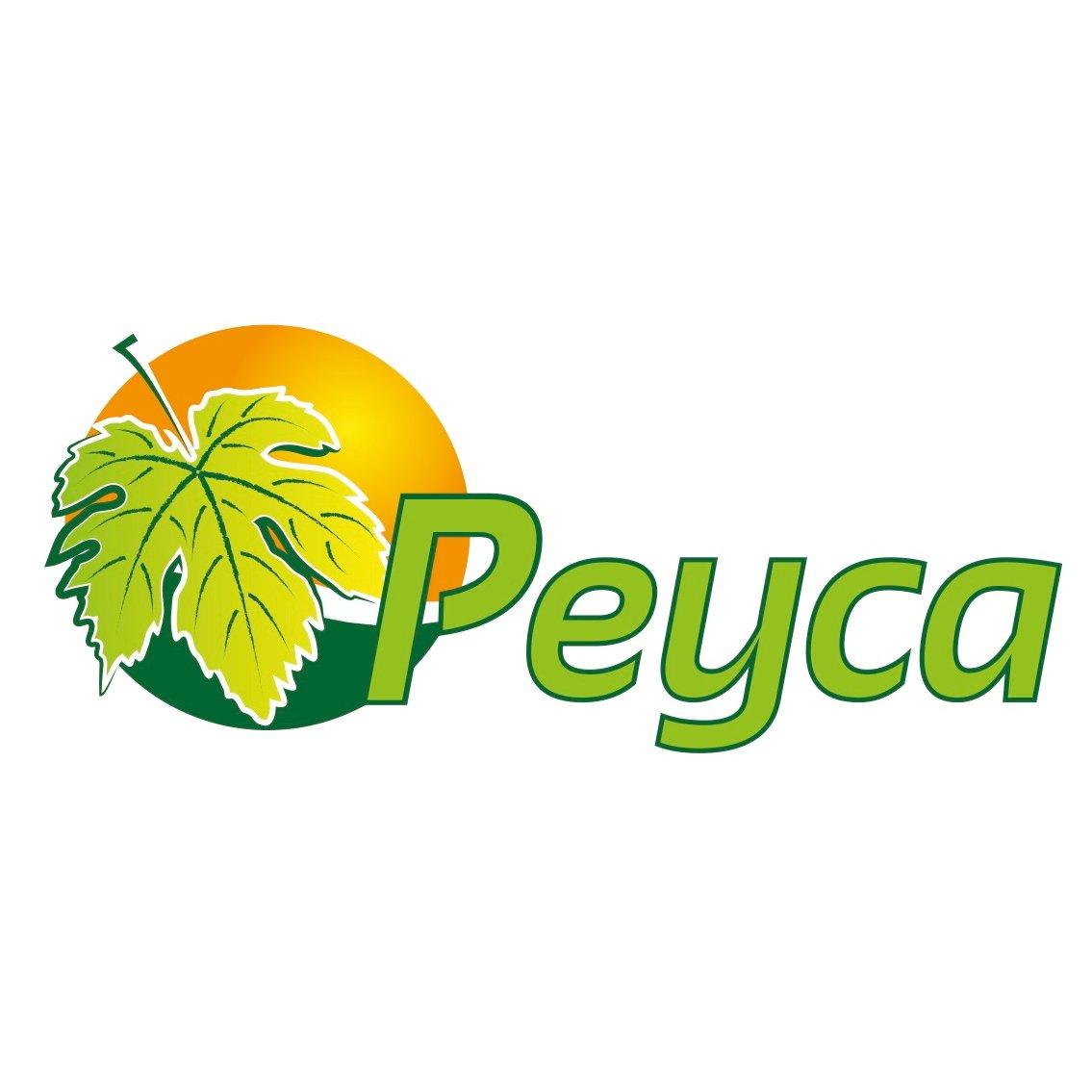 Agricola Peyca