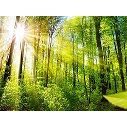 Bernd Jurenich Altspeisefettentsorgung