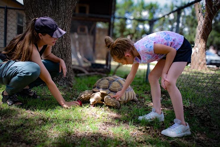 South Plains Wildlife Rehabilitation Center