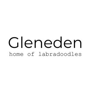 GlenEden Labradoodles