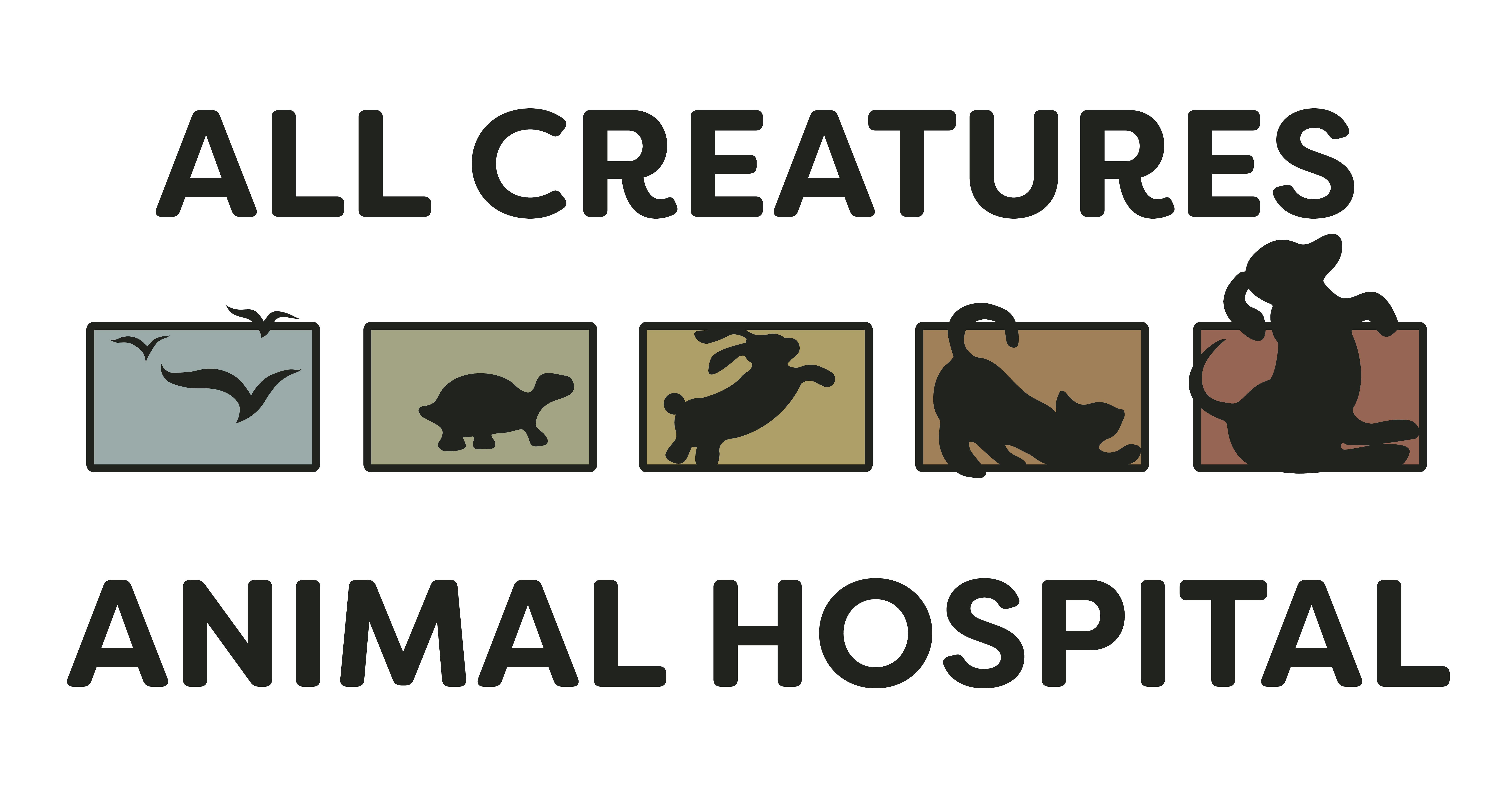 All Creatures Animal Hospital