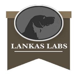 Lankas Labs