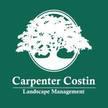Carpenter Costin Tree and Landscape