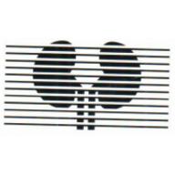 Manatee Kidney Diseases Consultants