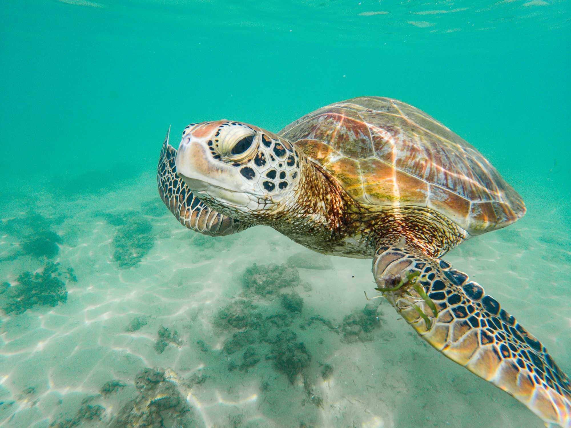 Julia Reisinger Fotografie