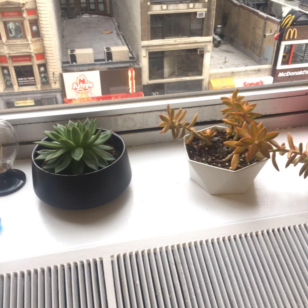 Chiggy's Electronic Depot