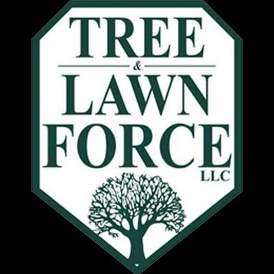 Tree And Lawn Force