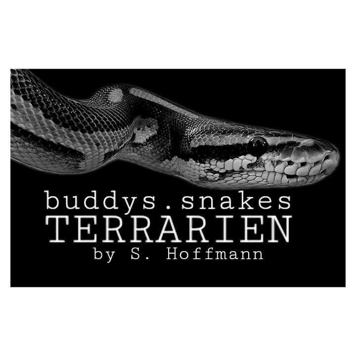 buddys.snakes Terrarien by Sebastian Hoffmann