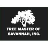 Tree Masters of Savannah