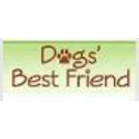 Dog's Best Friend