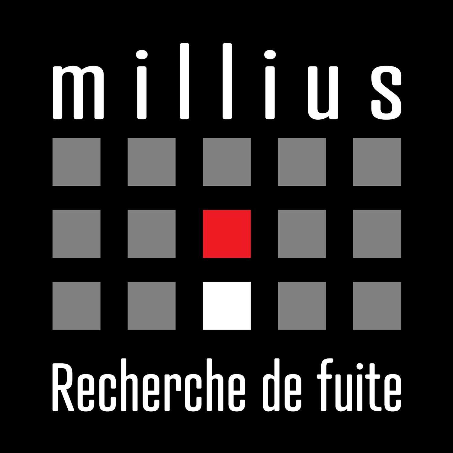 MILLIUS SOS DEGÂTS DES EAUX - RECHERCHE DE FUITE 24/7
