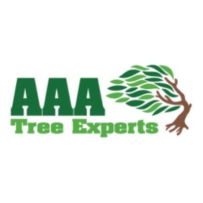 AAA Tree Experts