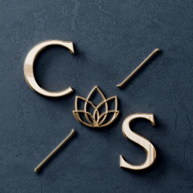 Caron Schetagne, Avocates - Droit Familial, Médiation Familiale, Litiges Immobilier & TAL - Saint-Jérôme