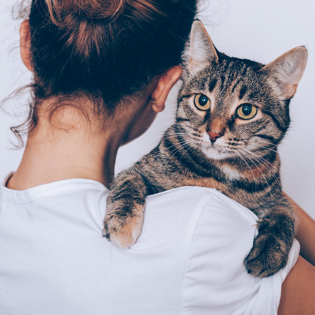 RiZE at Winter Springs Apartments