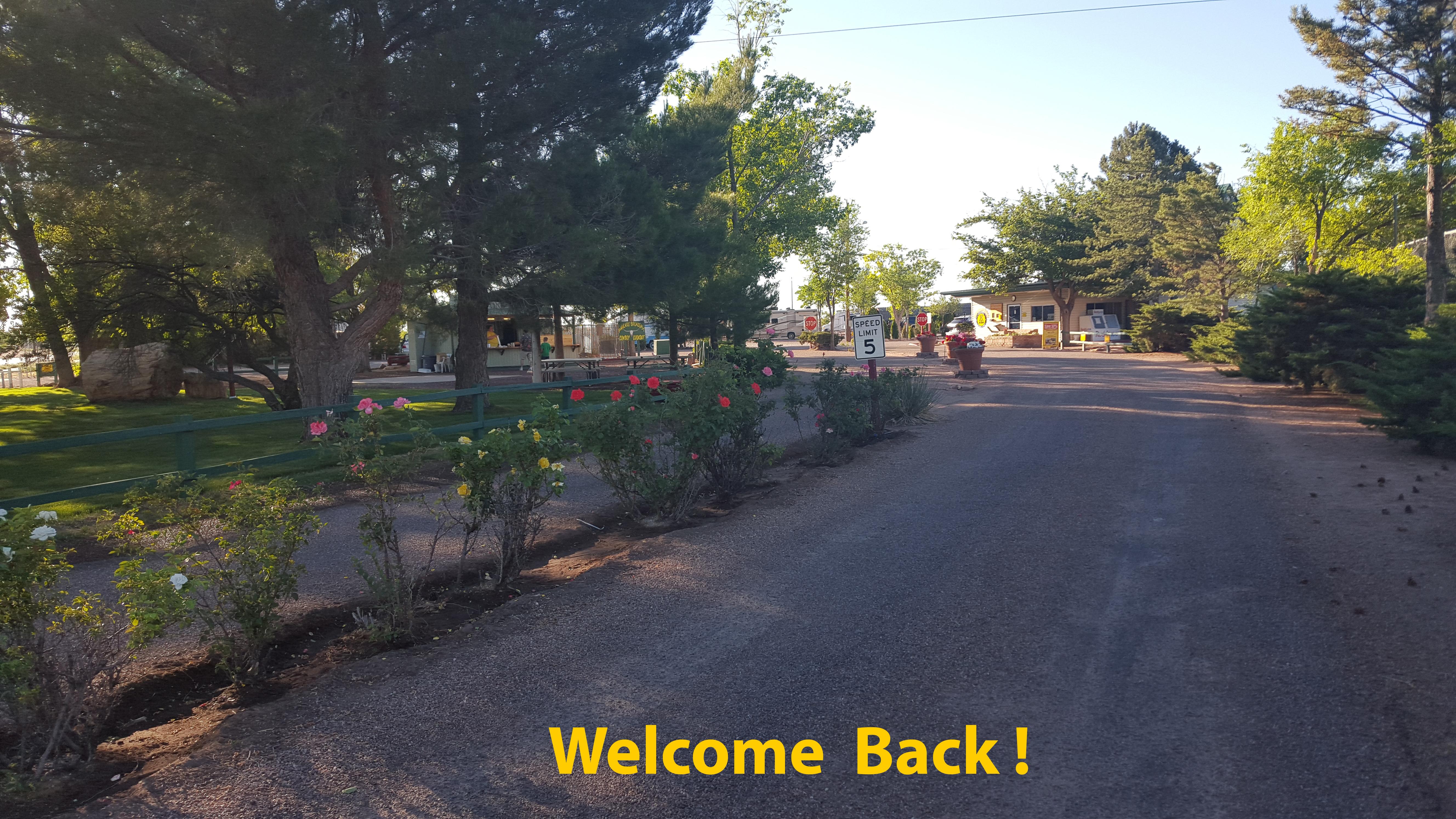 Holbrook / Petrified Forest KOA