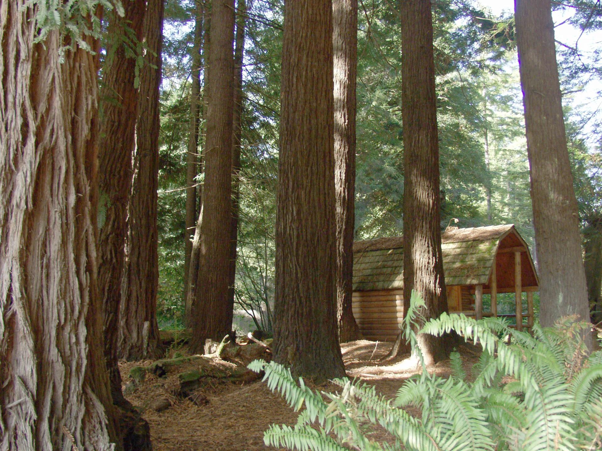 Crescent City / Redwoods KOA Holiday