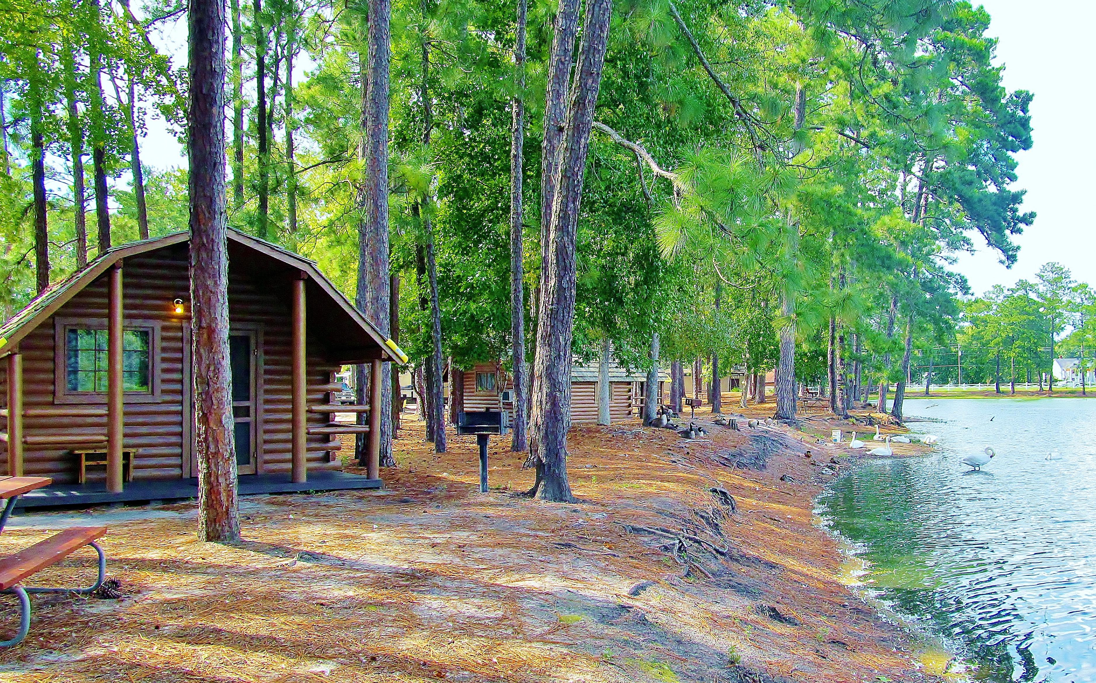 Savannah South KOA