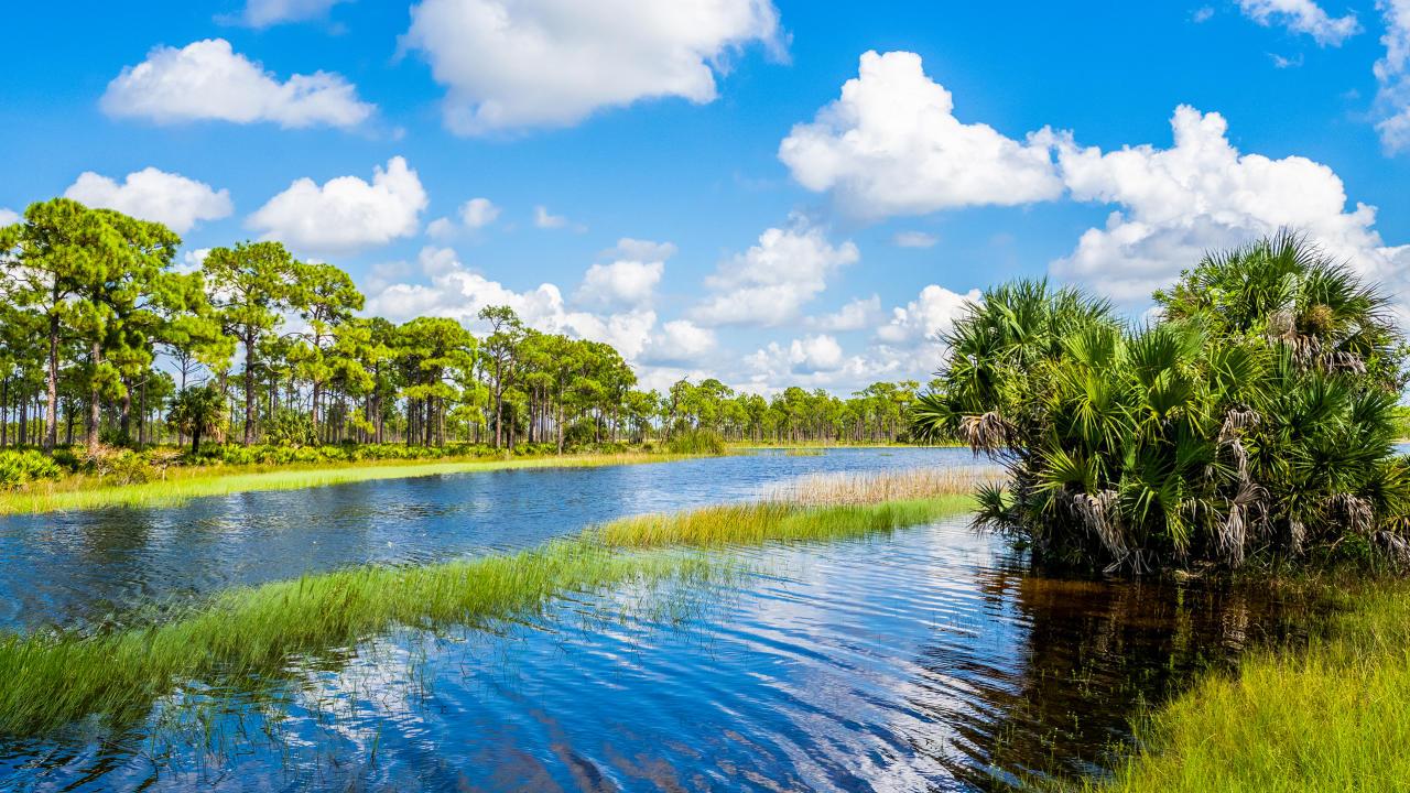 Burnt Store Village by Maronda Homes