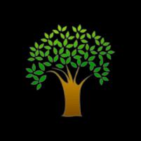 Allergy and Asthma Center