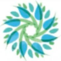 Global Healing Network