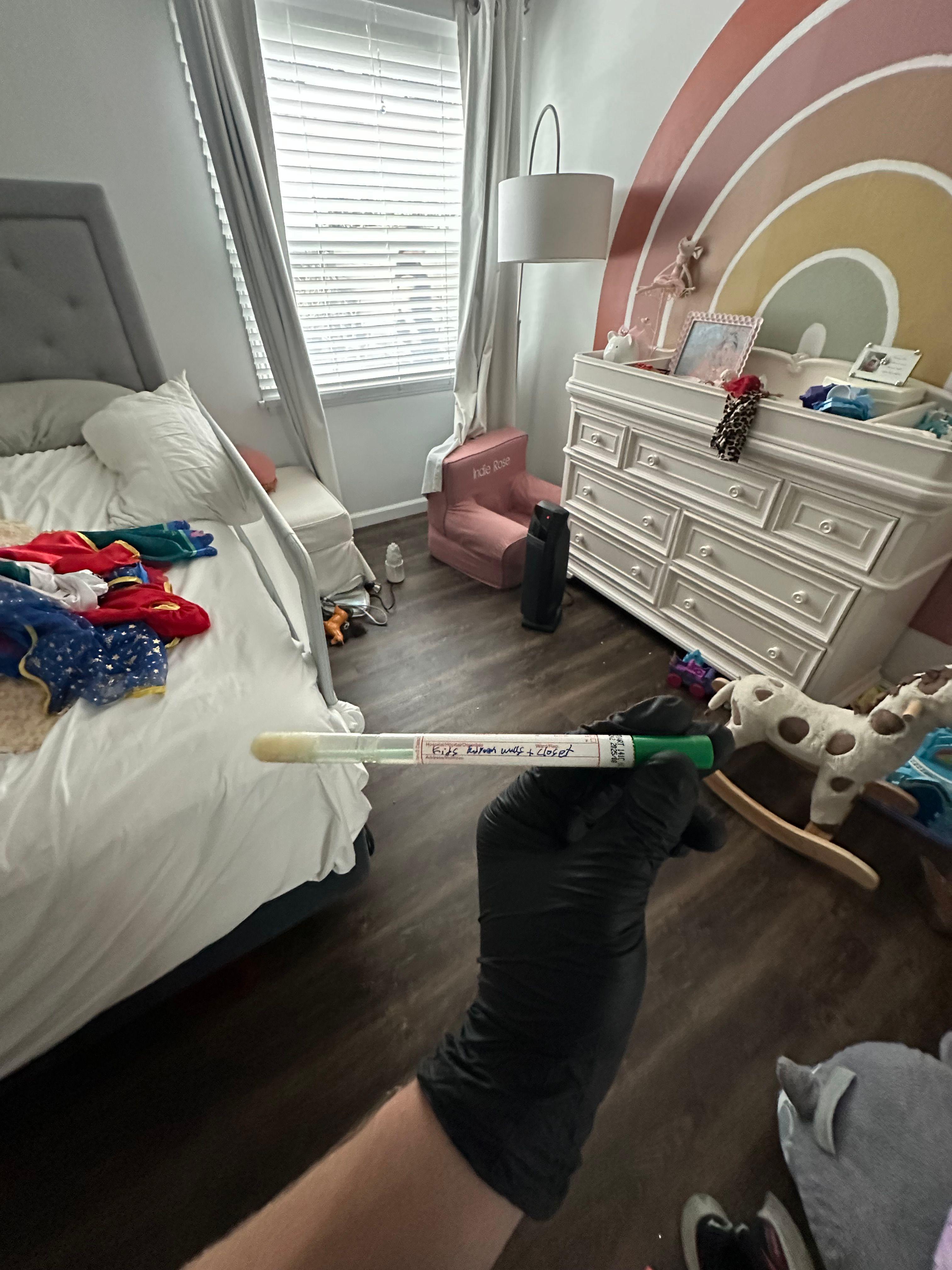 24H Mold Inspection of El Cajon