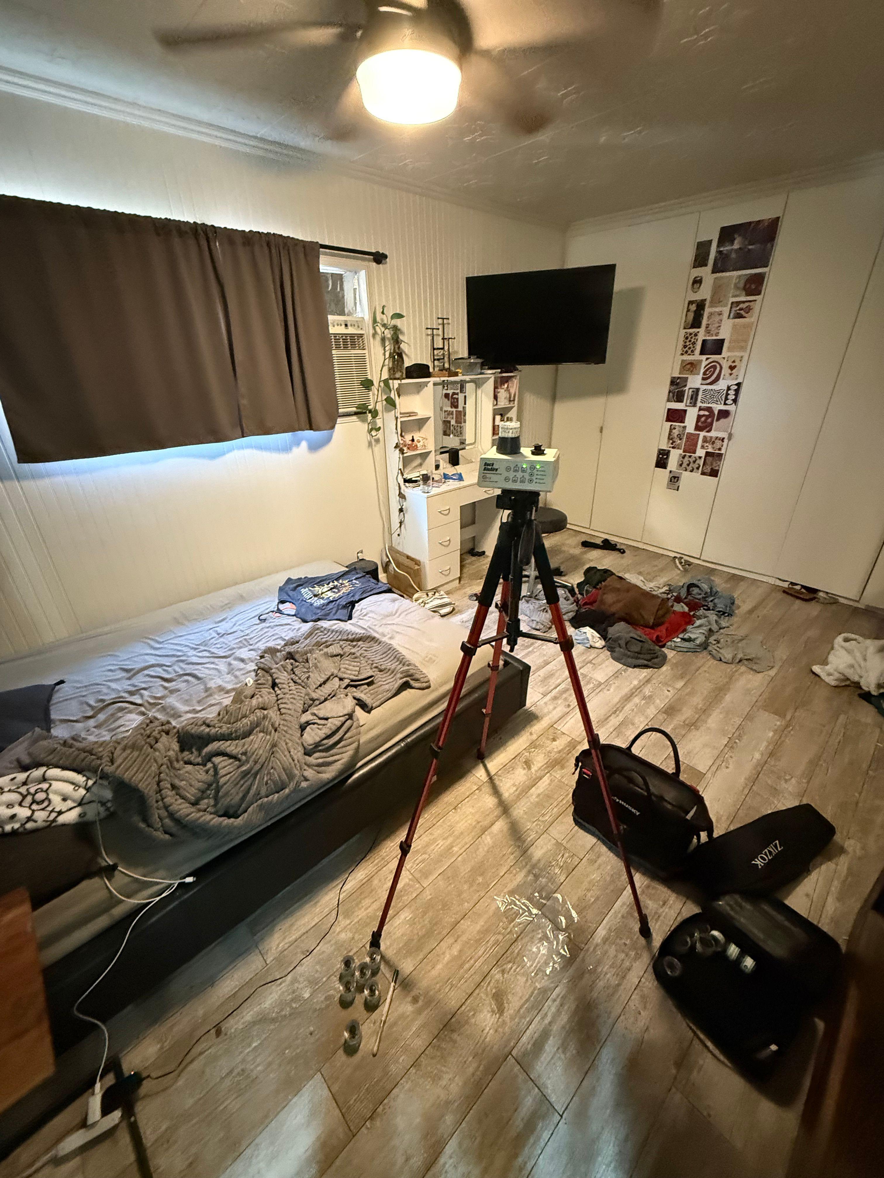 24H Mold Inspection of Seattle