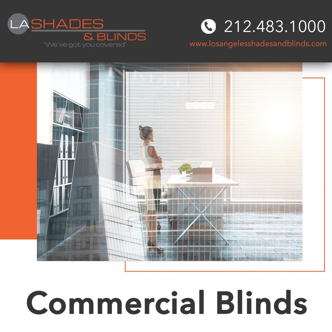 La Shades and Blinds
