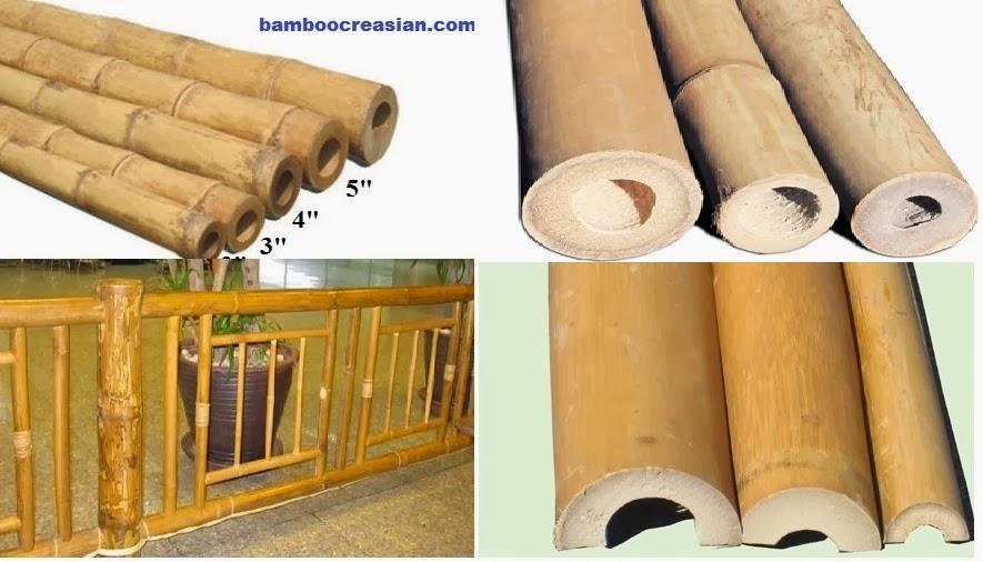 Bamboo Creasian Inc