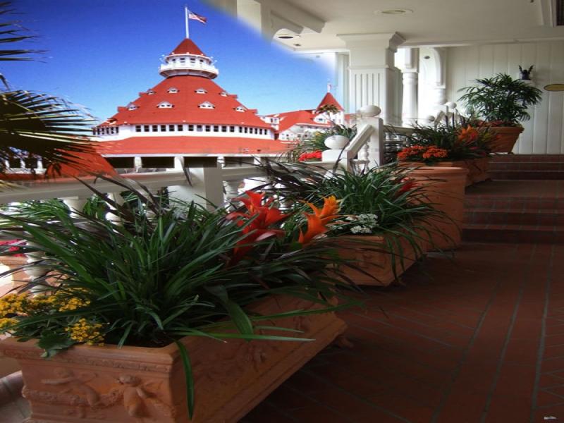 Plantopia - Interior Plant Service & Office Plant Maintenance Rentals