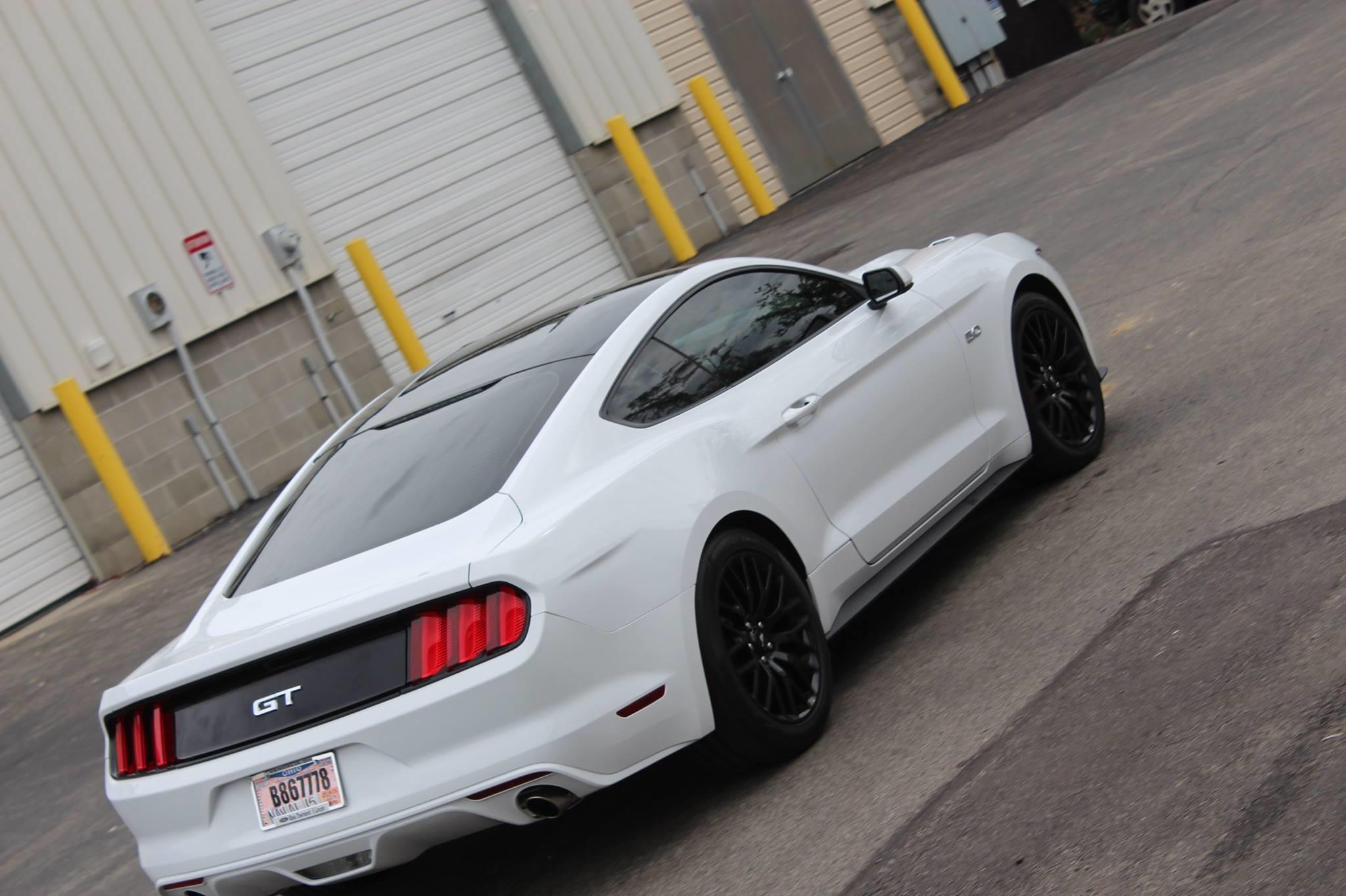 Eclipse Window Tinting