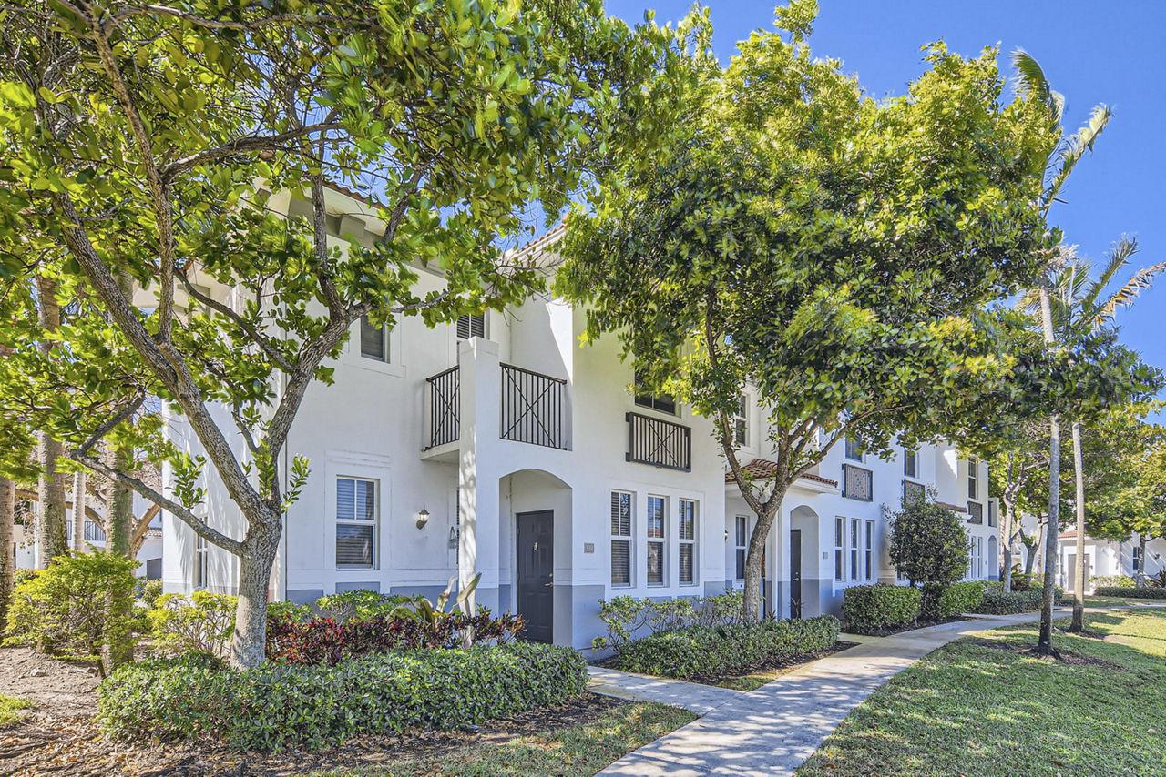 Solero at Plantation