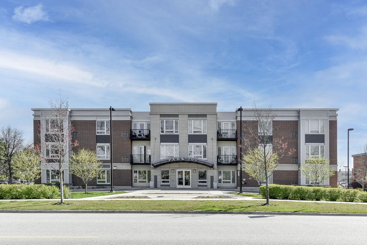 Park 205