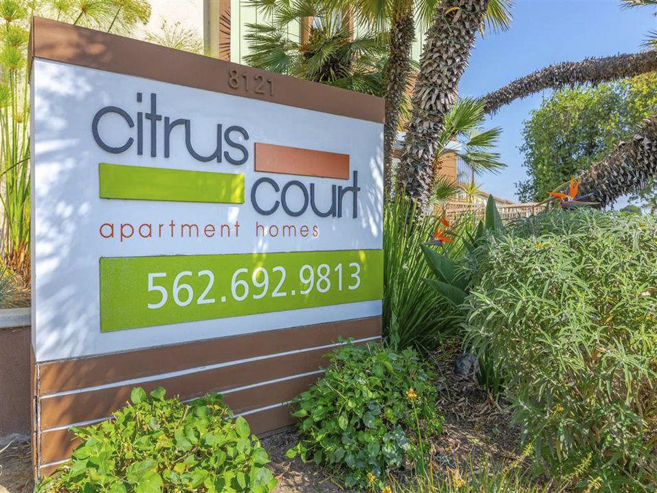 Citrus Court