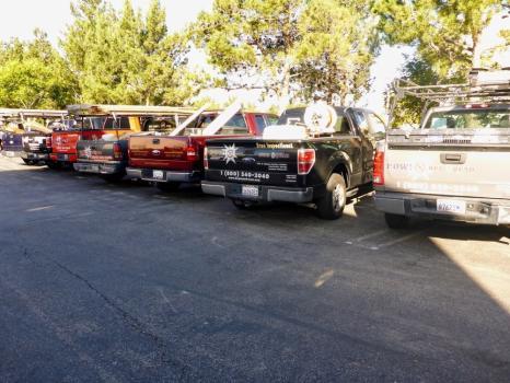 Bug Squad POW! Exterminating