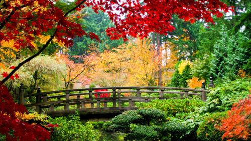 Chula Vista Physicians Group