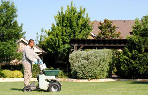 Abracadabra Lawn Pest & Weed Control