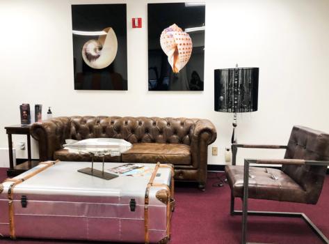 Red Carpet Aesthetics