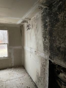Asbestos and Lead Abatement of Michigan LLC