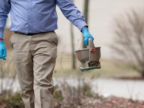 Miller Pest & Termite