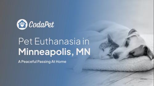 CodaPet - At Home Pet Euthanasia in Minneapolis