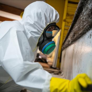 TWM Water Restoration