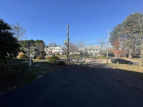 Nelson's Hardscape & Tree Service