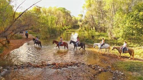 Trail Horse Adventure