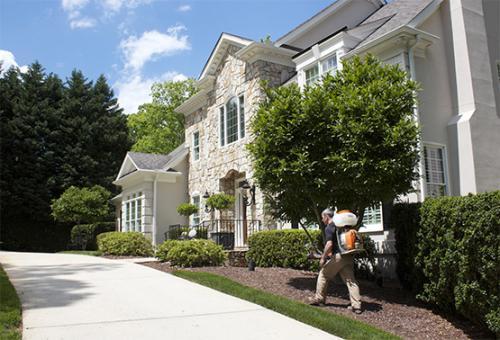 EcoTek Termite and Pest Control of Northern Virginia